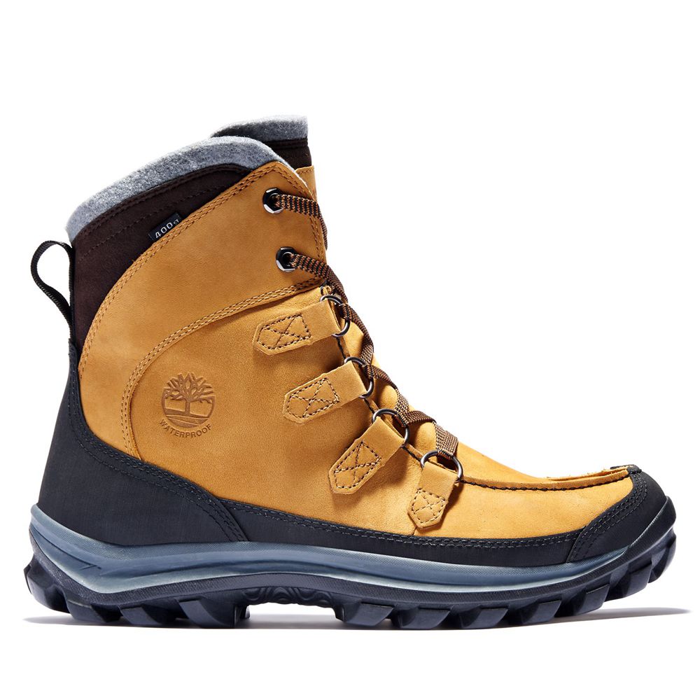 Ghete Iarna Timberland Barbati Maro/Negrii - Chillberg Insulated - Romania - QKSGNH015